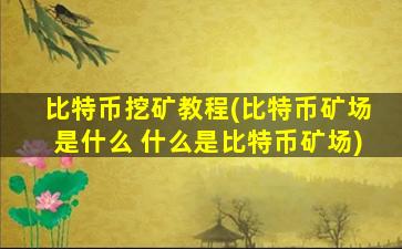 比特币挖矿教程(比特币矿场是什么 什么是比特币矿场)